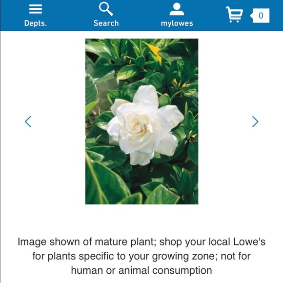 Meet your Posher, Ruth - Picture 1 of 1